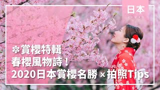 ❀賞櫻特輯❀春櫻風物詩！2020日本賞櫻名勝\u0026拍照TIPS│日本│春天│櫻花