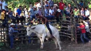 Jaripeo en la Fiesta Patronal de Ejido Ixcatepec 2016