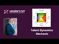 TALENT DYNAMICS PROFILE:  MECHANIC