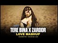 Tere Bina X Zaroor X Kabhi Use Noor Noor Mashup Full Version