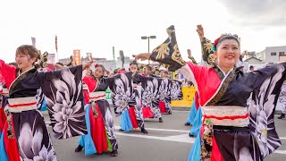 [4K] 純信連　かんおんじ銭形まつり 2023 銭形よさこい(銭よさ)