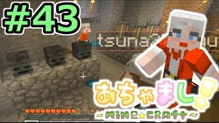 【PS3マインクラフト実況】自由気まま！あちゃましクラフト！#４３