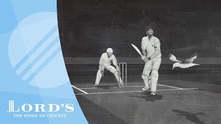 Dead Ball | The Laws of Cricket Explained with Stephen Fry
