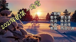 费玉清经典歌曲《一剪梅》，搭配这2021年的第一场雪。瑞雪兆丰年