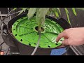 diy drip irrigation for indoor use automated feeding no more hand watering