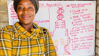 DNA Replication || Grade 12