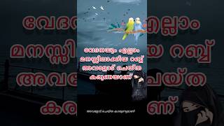 റബ്ബ് അവളോട് ചെയ്ത കരുണ അതുമല്ലെങ്കിൽ care അറിയണം ആണുങ്ങൾ  #short