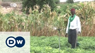 The changing face of Cayar, Senegal's main fishing port | DW News