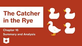 Der Fänger im Roggen | Kapitel 16 Zusammenfassung und Analyse | J.D. Salinger