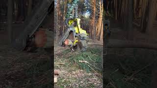 John deere harvester :Power and precision in every cut #lumberjack #forest #harvester #johndeere