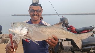 ഈ ലൂറില്‍ കിട്ടാത്ത മീനുകളില്ല, fishing video, fishing malayalam,