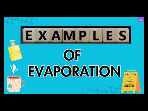 What are examples of evaporation?