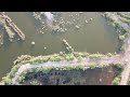 my mavic mini the drone shots