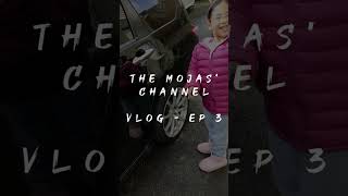 The Mojas Vlog 03 | Night market food trip in NZ | Budget Acoustic Guitar | music store in NZ