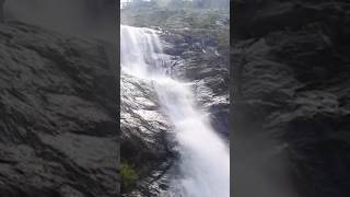 Palaruvi Falls - Tramptraveller #Shorts#palaruvi falls#kollam#keralatourism#kallada riverl.