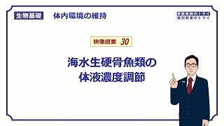 【生物基礎】　体内環境の維持30　海水生硬骨魚類の体液濃度調節　（１４分）