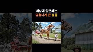 세상에 실존하는 엄청나게 큰 동물 TOP7