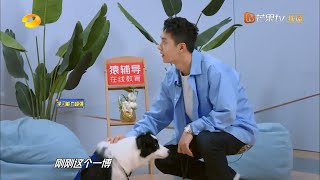 被赞有训犬师潜质 王一博怎么可以这么优秀！ 《天天向上》 Day Day Up 20210411丨MGTV