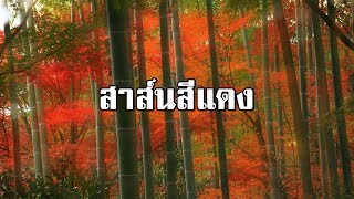 ไผ่แดง บทที่ 14 สาส์นสีแดง | สองยาม