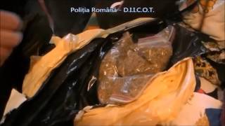 eBihoreanul.ro - Perchezitii la Clanul Negus din Oradea. Peste 2,5 kg de droguri, ridicate