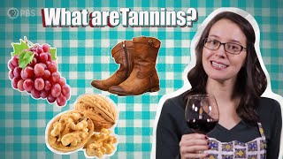 Wine Time: Let's Taste Some Tannins! | Serving Up Science
