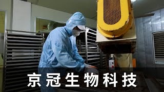 京冠生物科技•台灣新視野•磐石影像