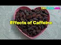 does cocoa beans have caffeine caffeine in cocoa beans does cocoa contains caffeine benefits