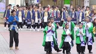 「 掌栄組 」四日市よさこい やったろ舞2018【ふれあいモール】