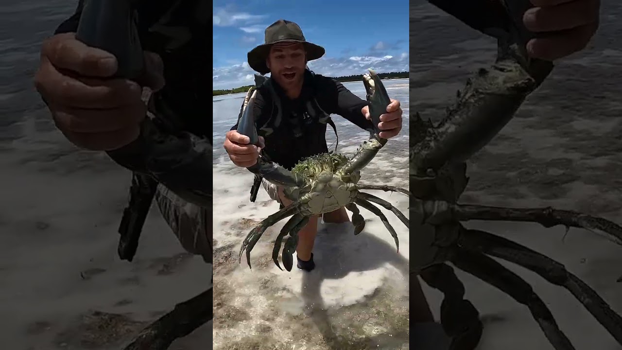 Giant Mudcrab Barehanded Catch For Island Survival Fishing