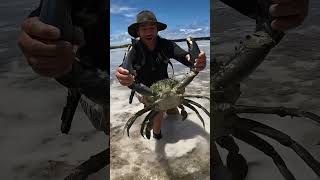 GIANT MUDCRAB barehanded catch for ISLAND SURVIVAL