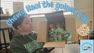 CHEWY HAUL￼ for the guinea pigs | OxBow￼ Timothy hay, toys, and treats ￼🤍🐹