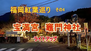 福岡紅葉巡り　その4　竈門神社　ライトアップされた紅葉