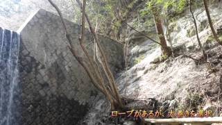 天狗谷一の滝（三重県いなべ市大安町）・・・2016/03