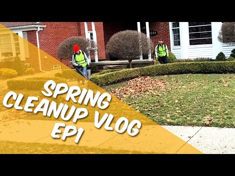 Spring Cleanup Vlog Ep1 Small Residential With A Ton Of Boxwoods
