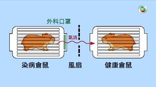 東張西望 | 科學實證 口罩對抗新冠肺炎 | 實驗 | 袁國勇