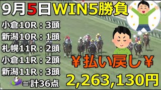 【競馬】￥WIN5￥払い戻し金￥226万3130円！36点で勝負！