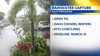 Oahu launches rainwater collection pilot program for residents