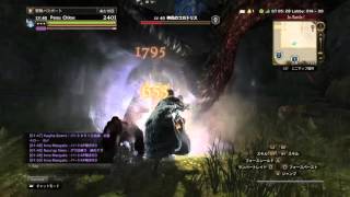 【ddon】セージソロ～コカトリス43Lv～9分30秒討伐