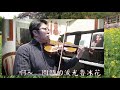 陳揚 1956 2022 魯冰花 小提琴 鋼琴 輕音樂演奏 the dull ice flower ost violin cover