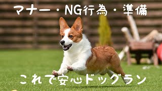 ドッグランでのマナーやNG行為などなど解説