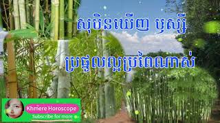 សុបិនឃើញ ឫស្សី ជាប្រផ្នូលល្អណាស់