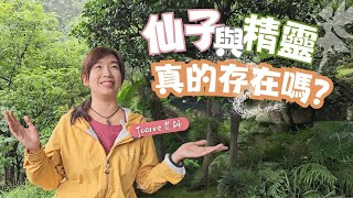 仙子與精靈真的存在嗎？｜Joanne老師