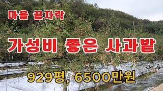 168번 가성비 좋은 청정지역에 남향 으로 자리 잡고있는 사과밭이며 건축가능.#의성땅#경북땅#사과밭#체류형쉼터#군위땅#농막#귀촌#영천땅.