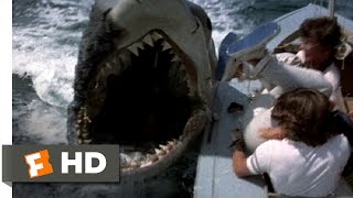 Jaws 2 (7/9) Movie CLIP - Shark vs. Sailboats (1978) HD
