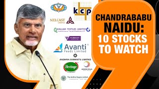 TDP Stocks: Chandrababu Naidu Andhra Pradesh’s Big 10 Stocks To Watch | Heritage Foods, Amamra Raja