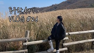 VLOG 일상 브이로그 #26 | 사람반 억새반 울산 간월재 등산에 가리비 먹방을 곁드린 일상 브이로그 • 가을여행, 영남알프스, 간월재, 대하구이, 일상먹방, 등산브이로그