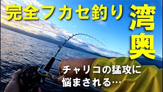 【真鯛】湾奥の完全フカセ釣り【アポロフィッシングチャンネル Vol.18】