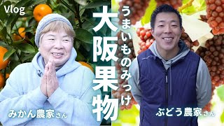 【絵本作りに協力】葡萄とみかん農家さんを出版社にアテンド旅！