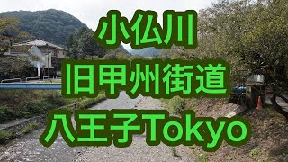 沿線散策、小仏川を遡リ旧甲州街道を訪ねる