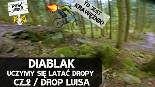 DIABLAK - BABIA GÓRA TRAILS / DROP LUISA / MOSORNY GROŃ / ENDURO/ DH / HARDTAIL